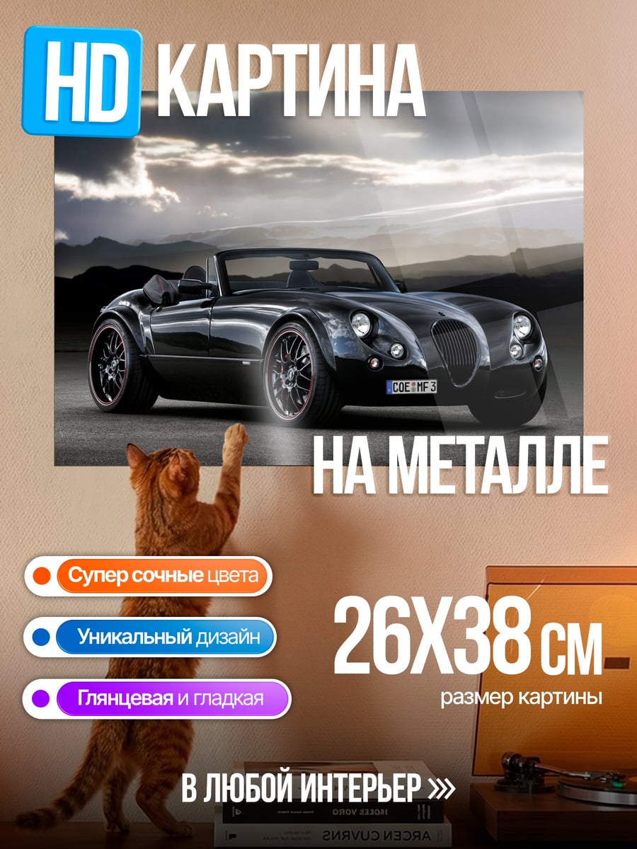 Картина на металле Черный родстер