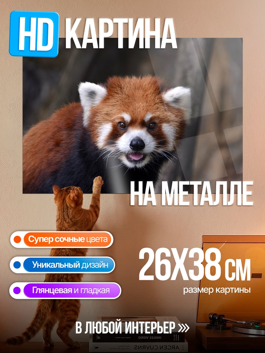 Картина на металле Красная панда
