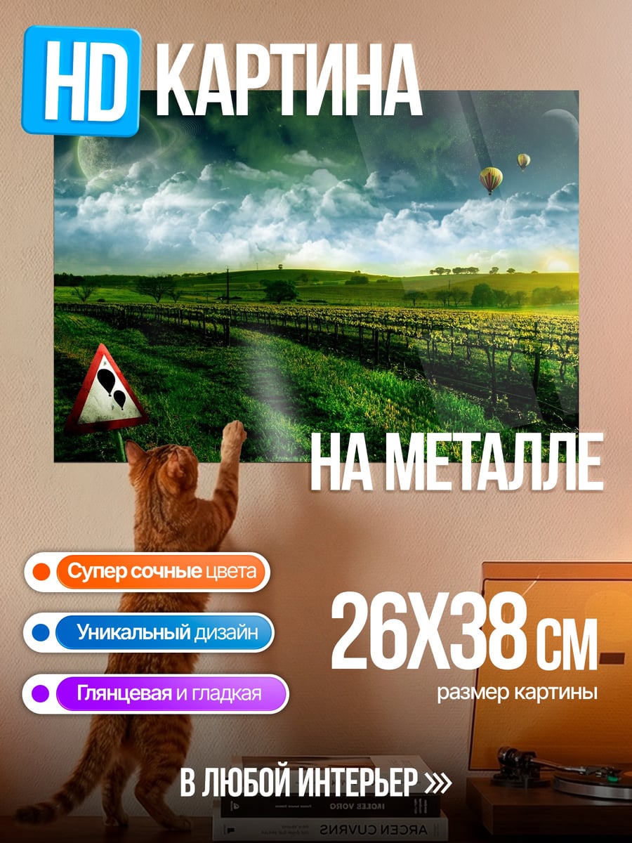 Картина на металле пейзаж с воздушными шарами