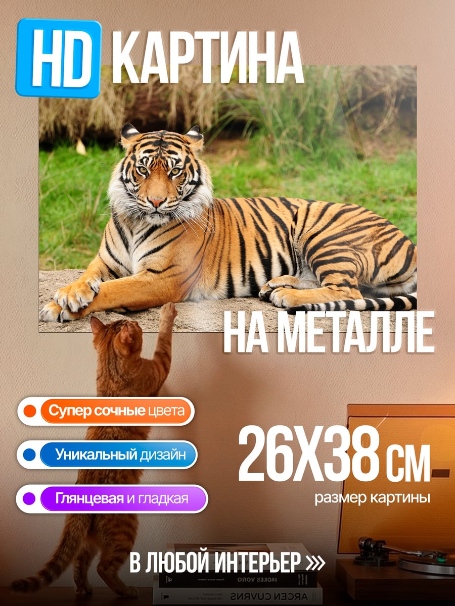 Картина на металле Лежащий тигр