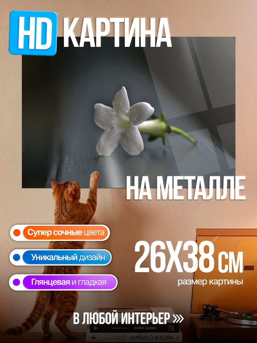 Картина на металле Одинокий цветок