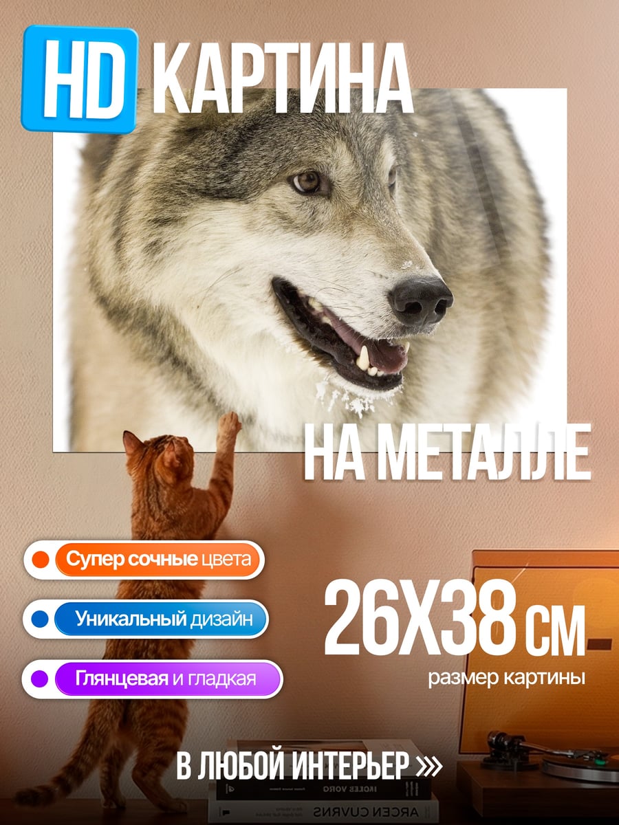 Картина на металле портрет волка