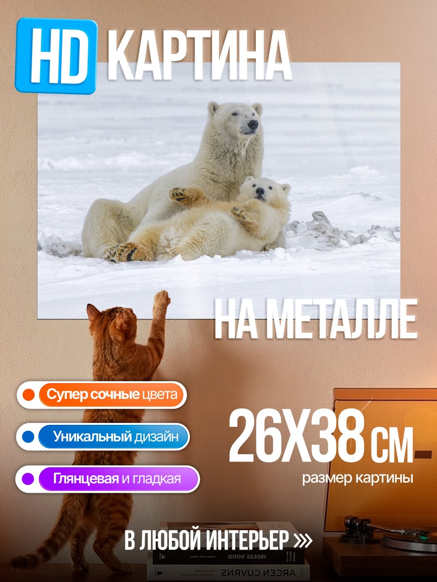 Картина на металле Белые медведи