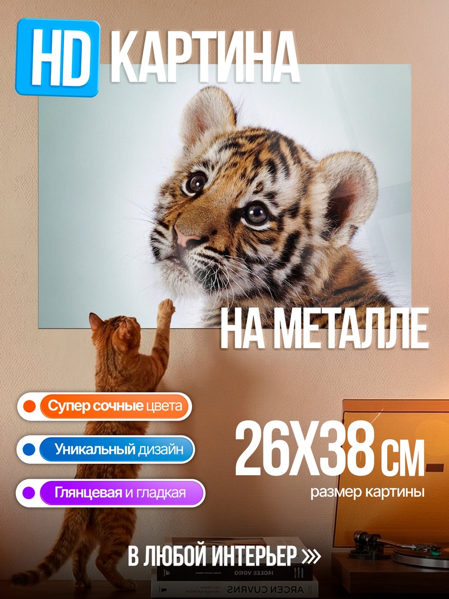 Картина на металле Тигренок смотрит