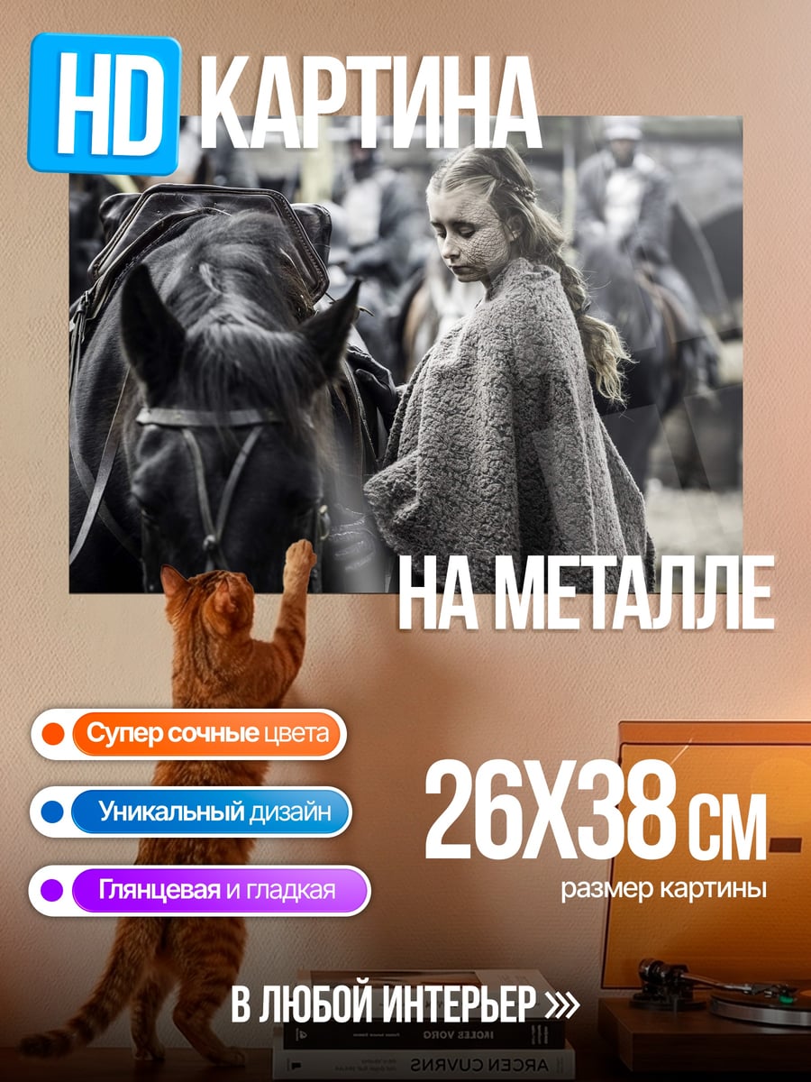 Картина на металле Девочка лошадь плащ