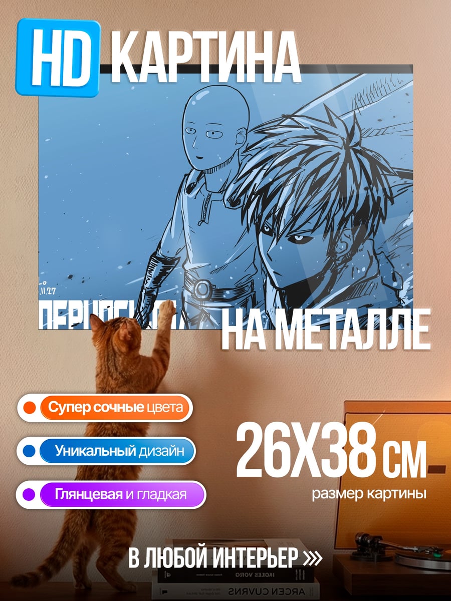 Картина на металле Сайтама и Генос