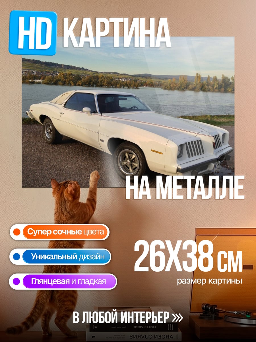 Картина на металле Белый Понтиак