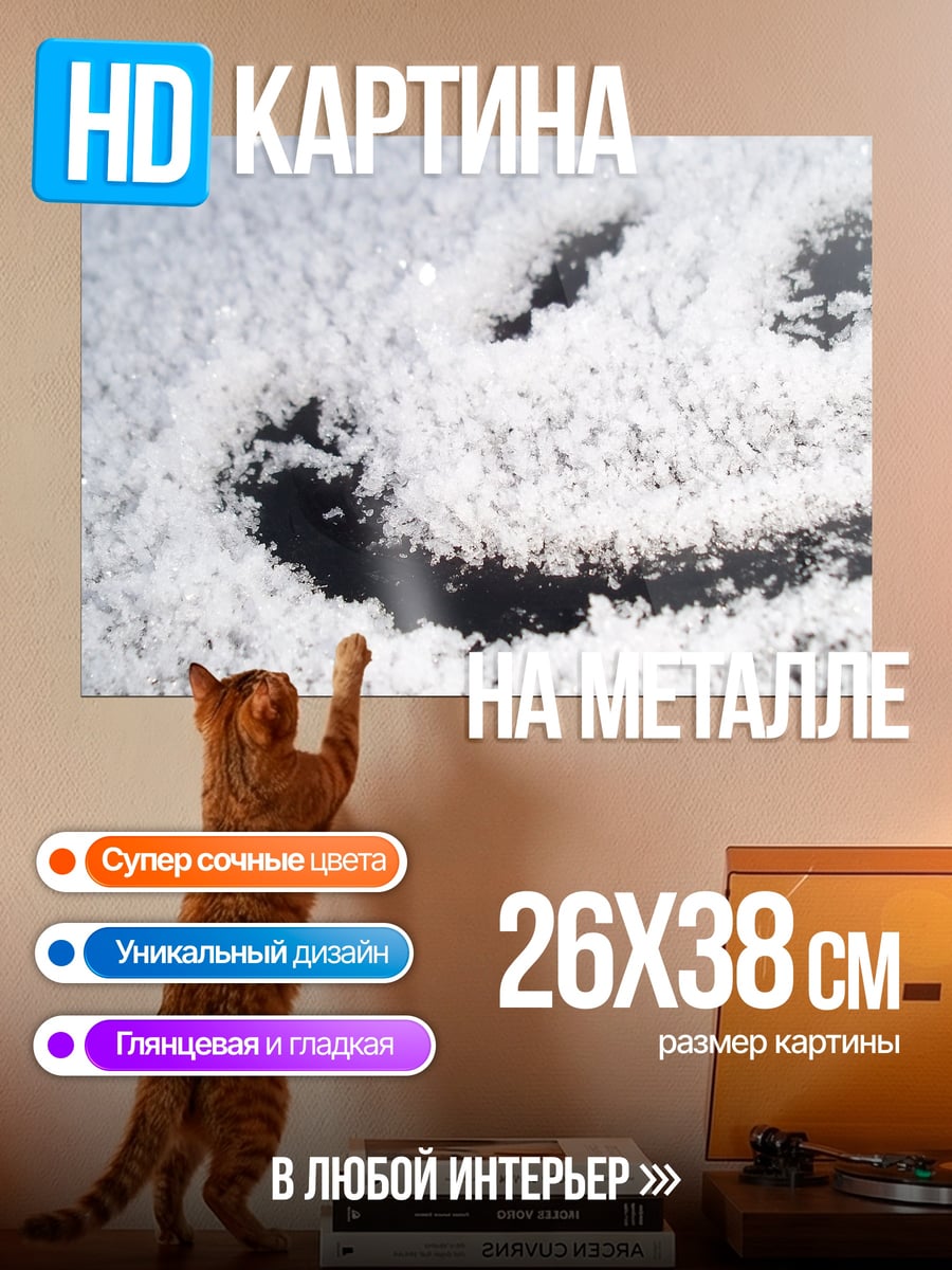 Картина на металле смайлик из снега
