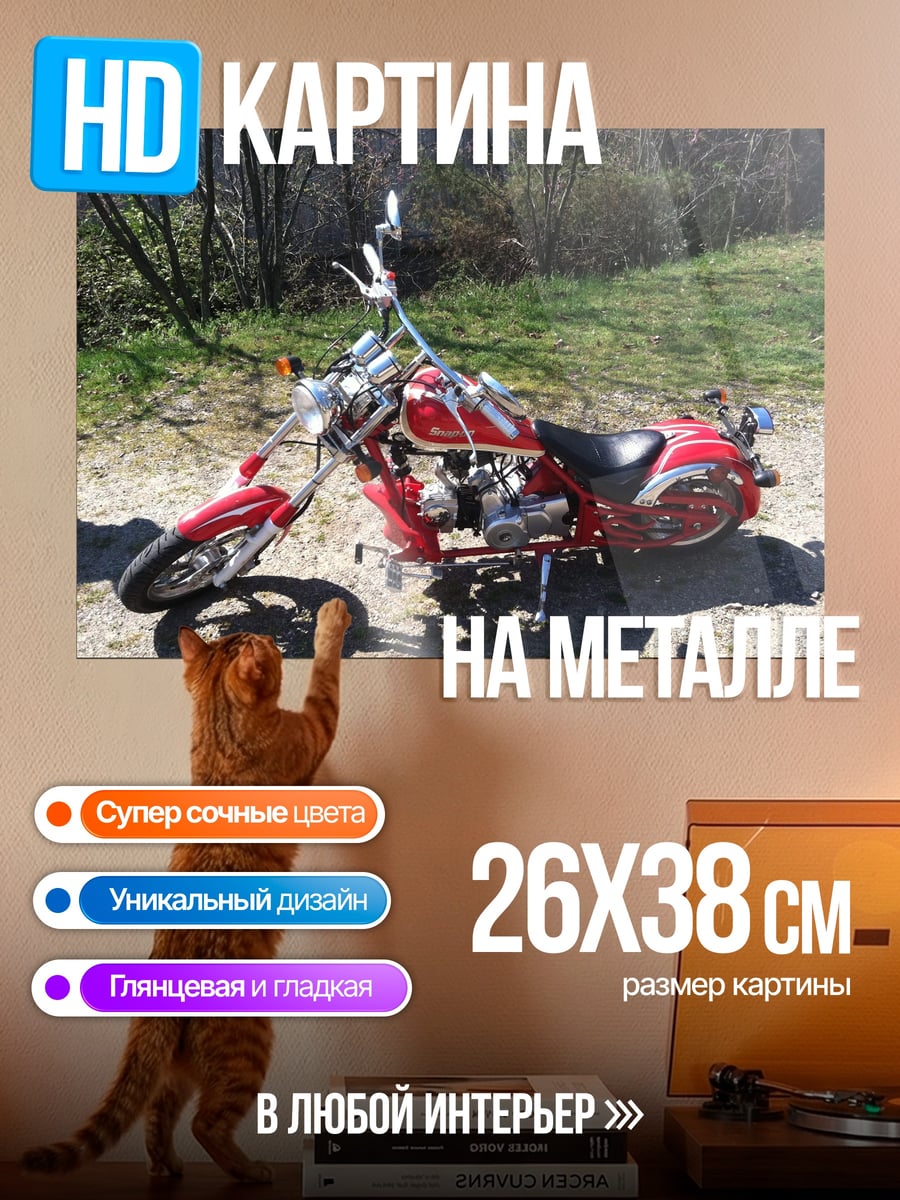 Картина на металле Красный мотоцикл