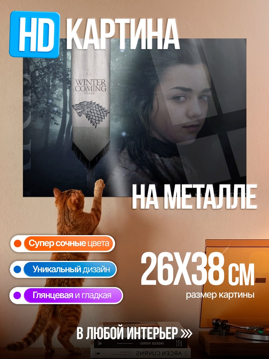 Картина на металле Арья Старк зима