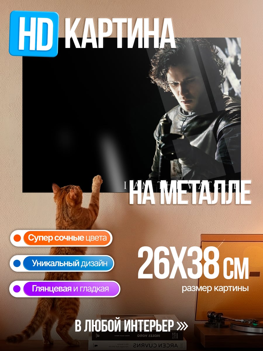 Картина на металле Страж на стене