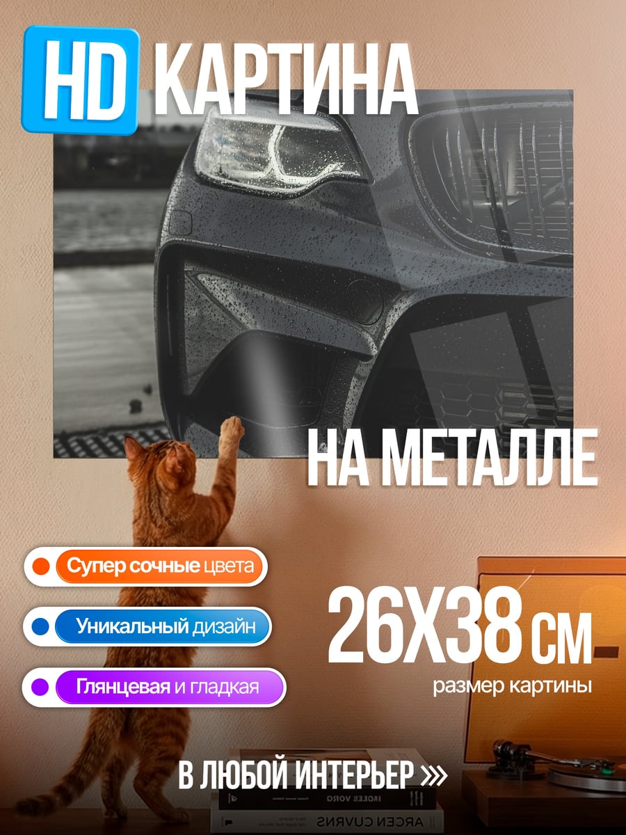 Картина на металле Фрагмент автомобиля