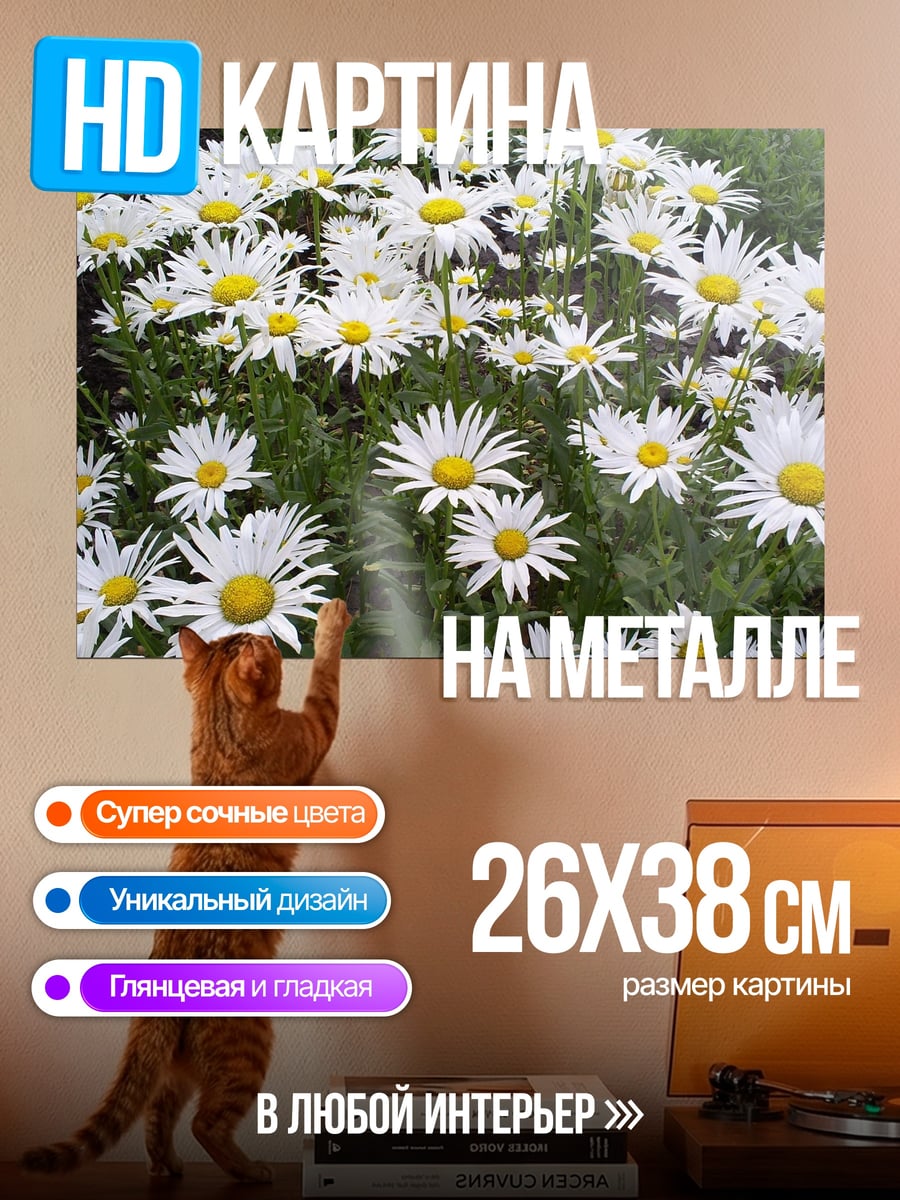 Картина на металле Поле ромашек