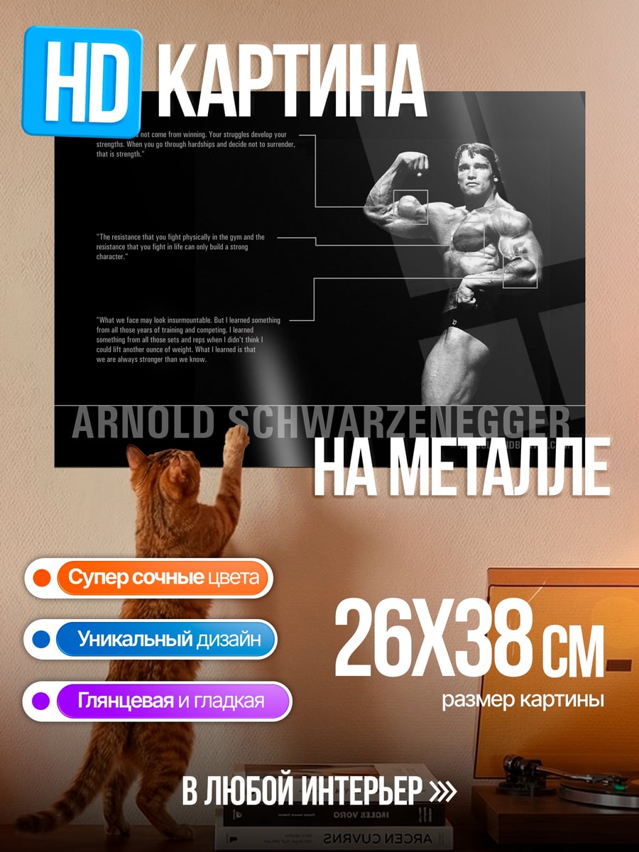 Картина на металле Арнольд Шварценеггер