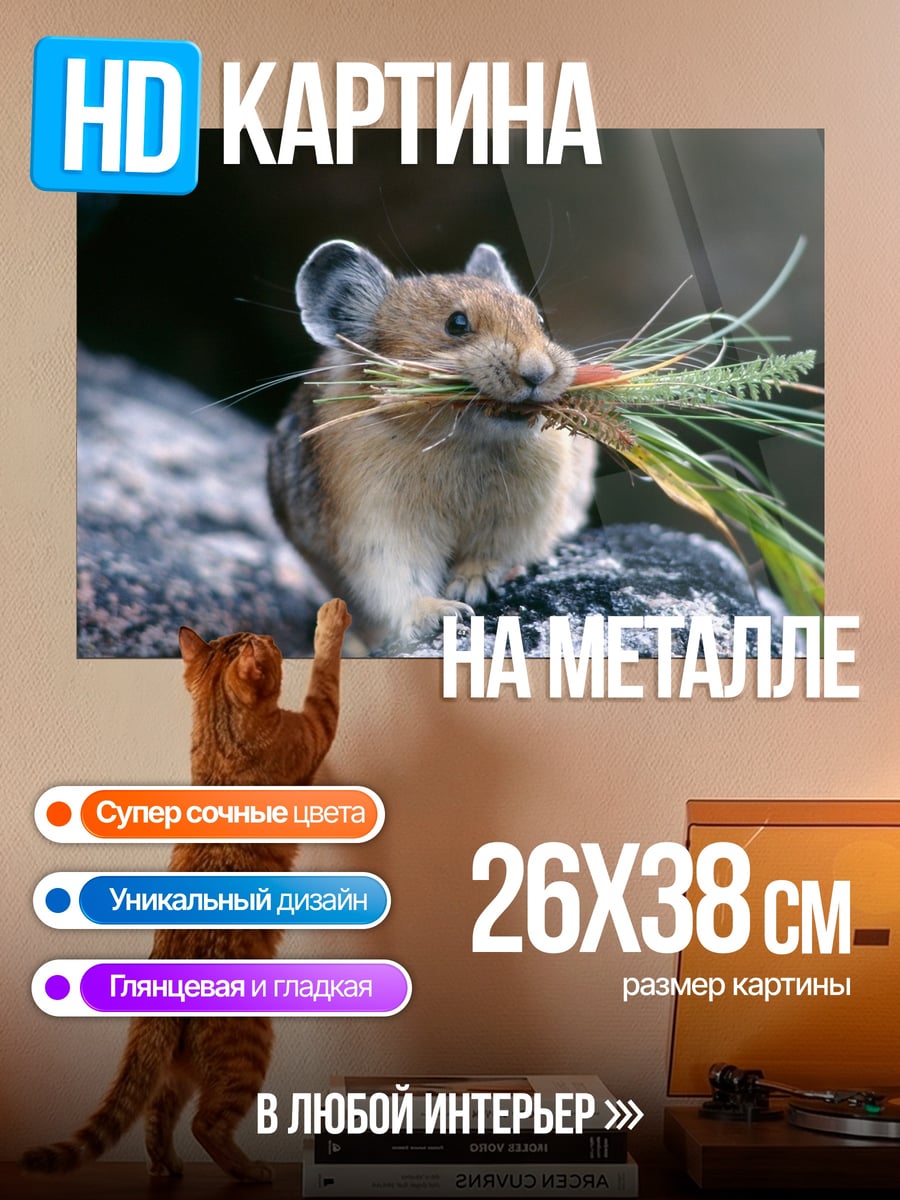 Картина на металле Пика с травой