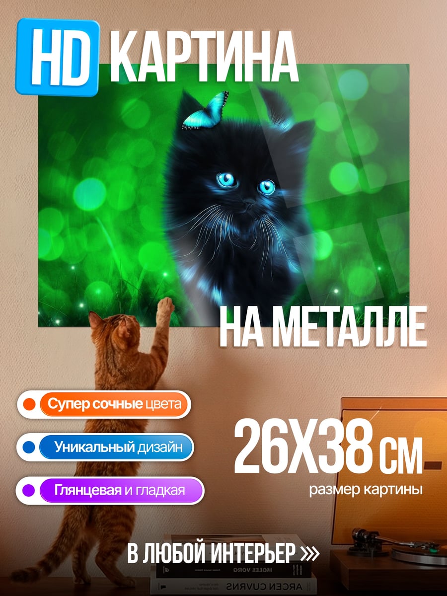 Картина на металле Черный котенок светится