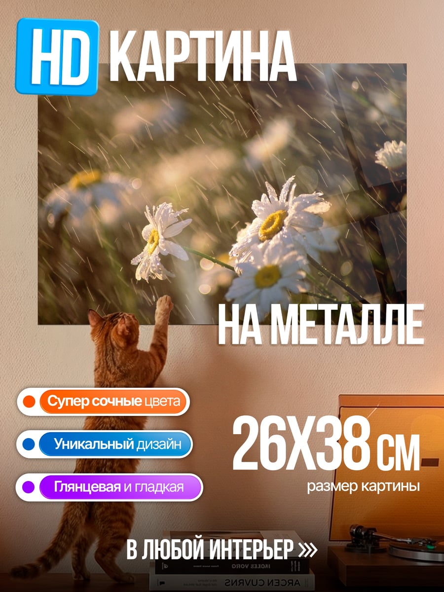 Картина на металле Ромашки на ветру