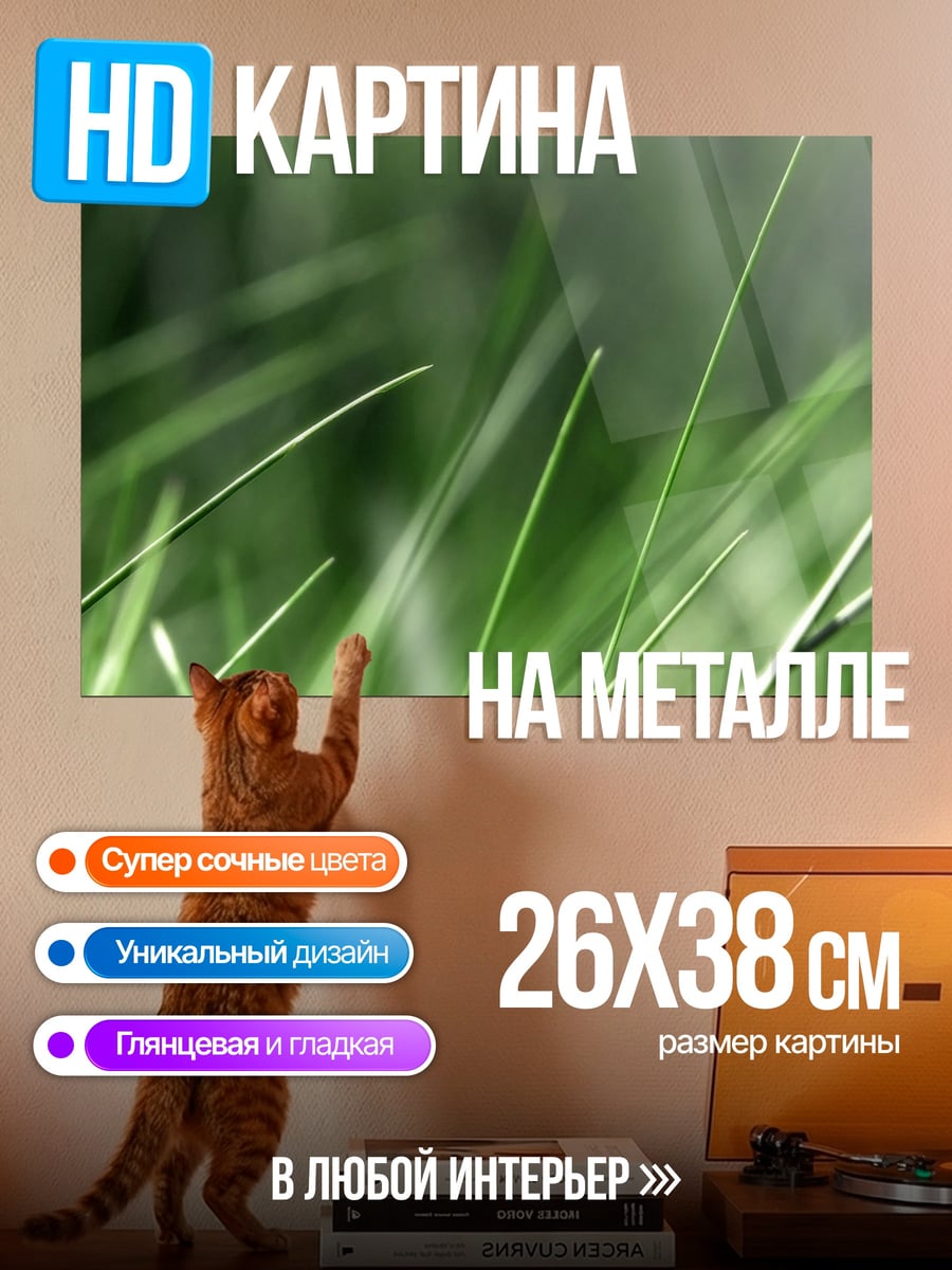 Картина на металле зеленая трава крупным планом
