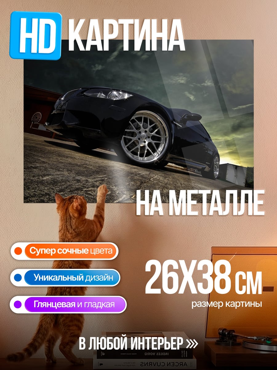 Картина на металле чёрный спорткар на склоне