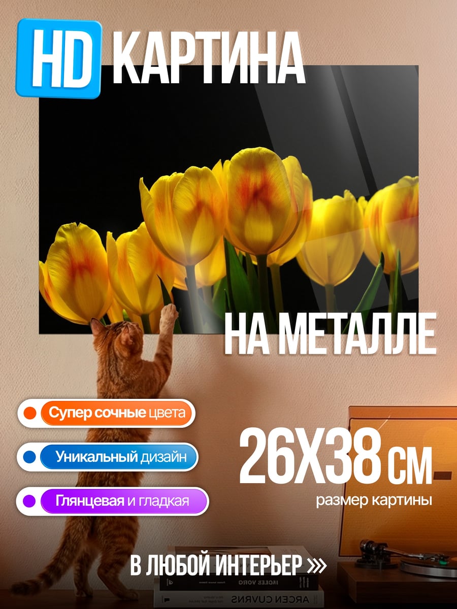 Картина на металле желтые тюльпаны на черном