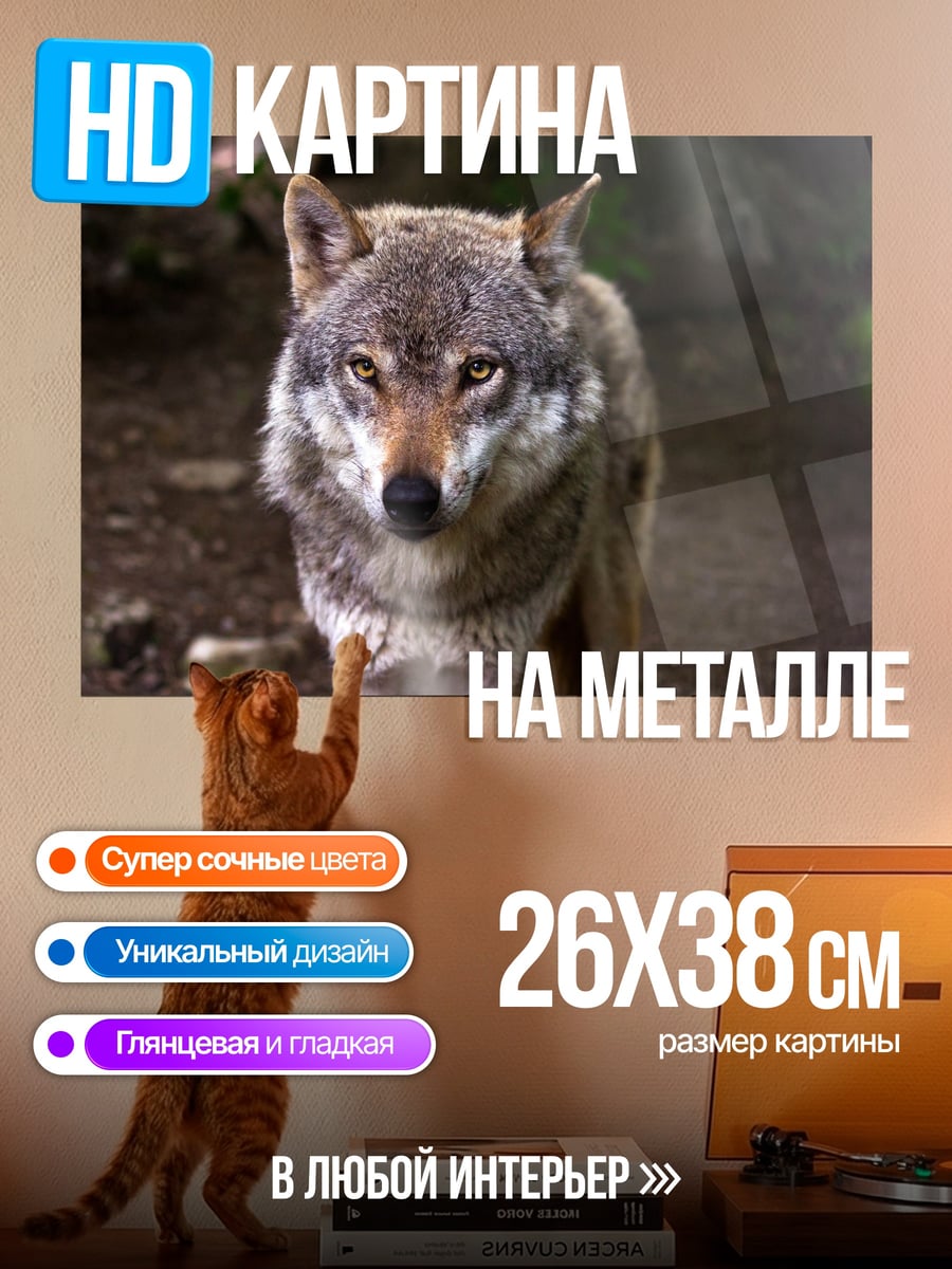 Картина на металле Серый волк