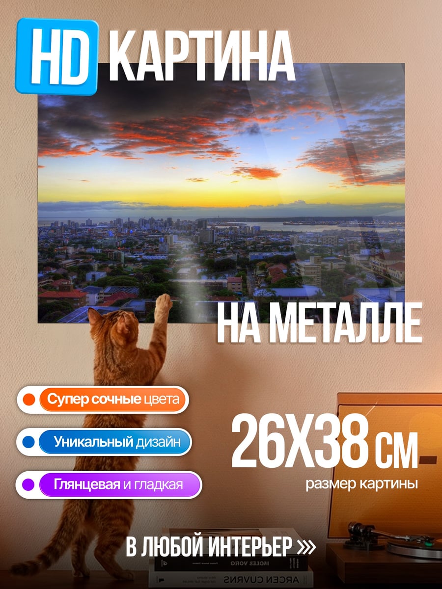 Картина на металле Городской закат