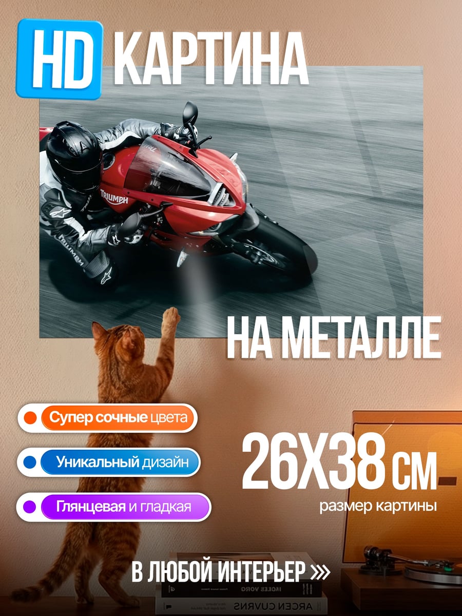 Картина на металле Гонщик на мотоцикле
