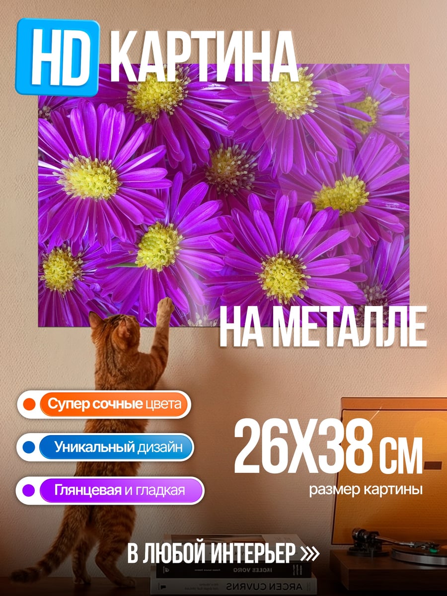 Картина на металле Фиолетовые астры