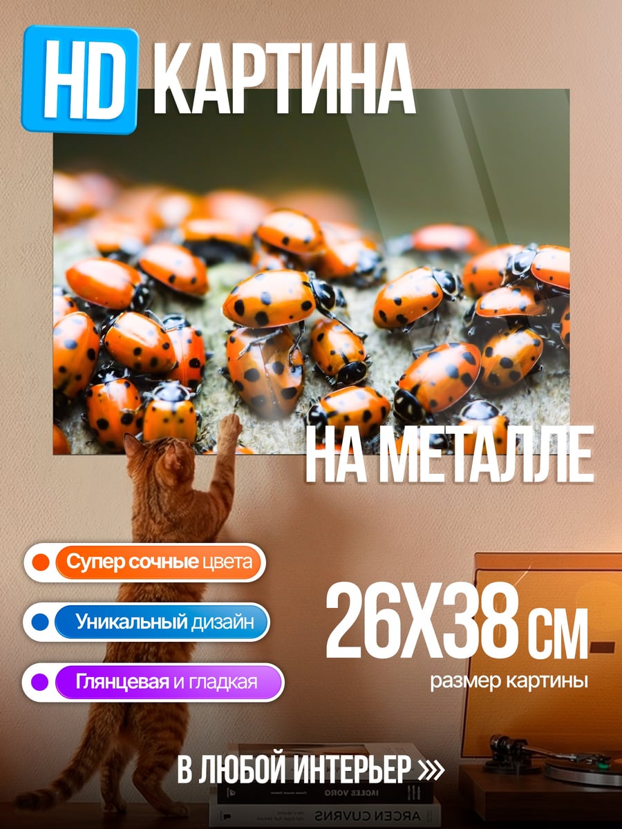 Картина на металле Божьи коровки