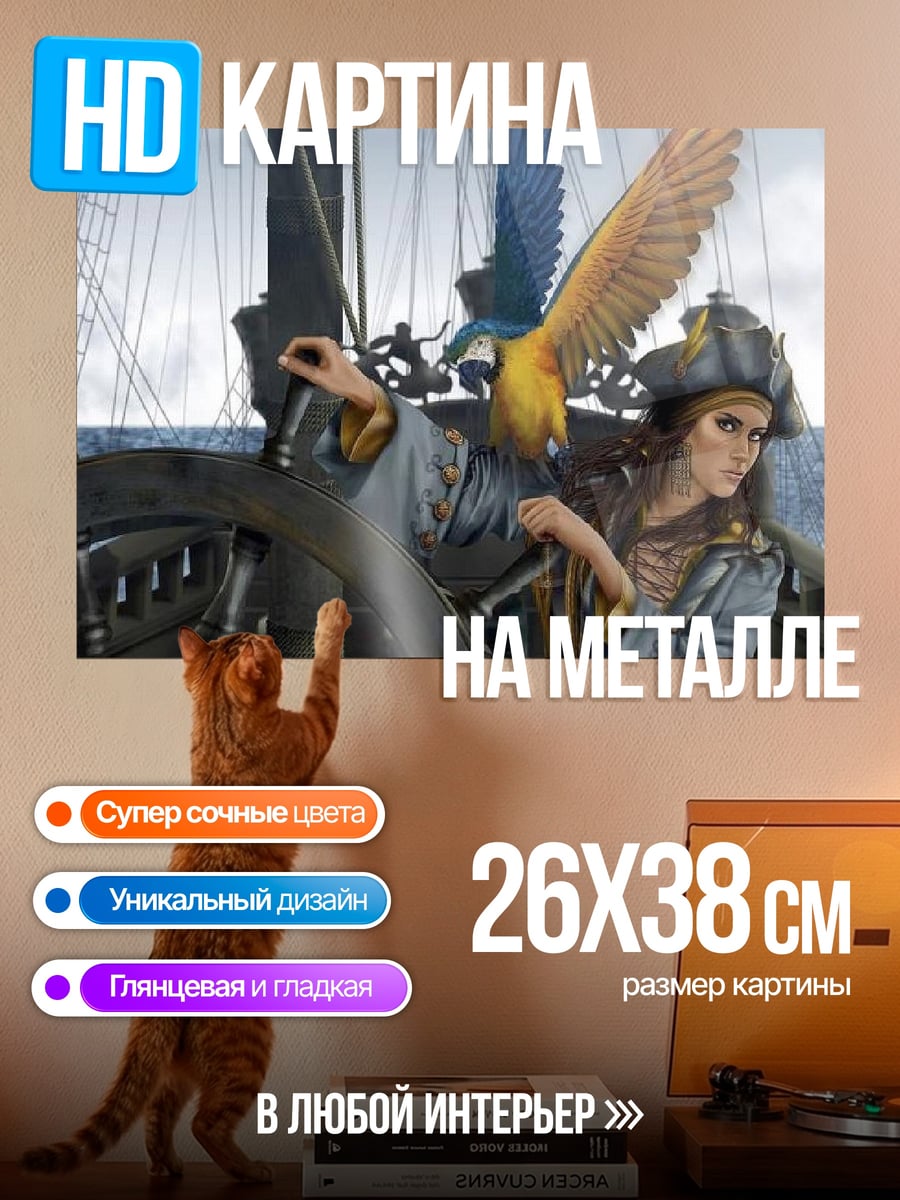 Картина на металле Пиратка с попугаем