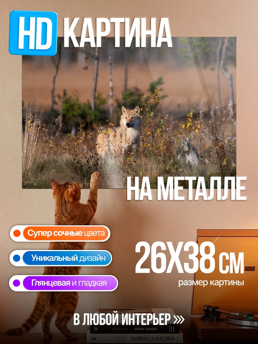 Картина на металле Братья Винчестер