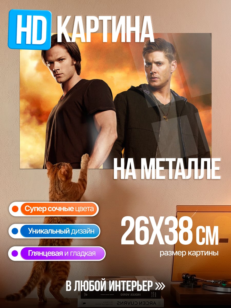Картина на металле Две женщины