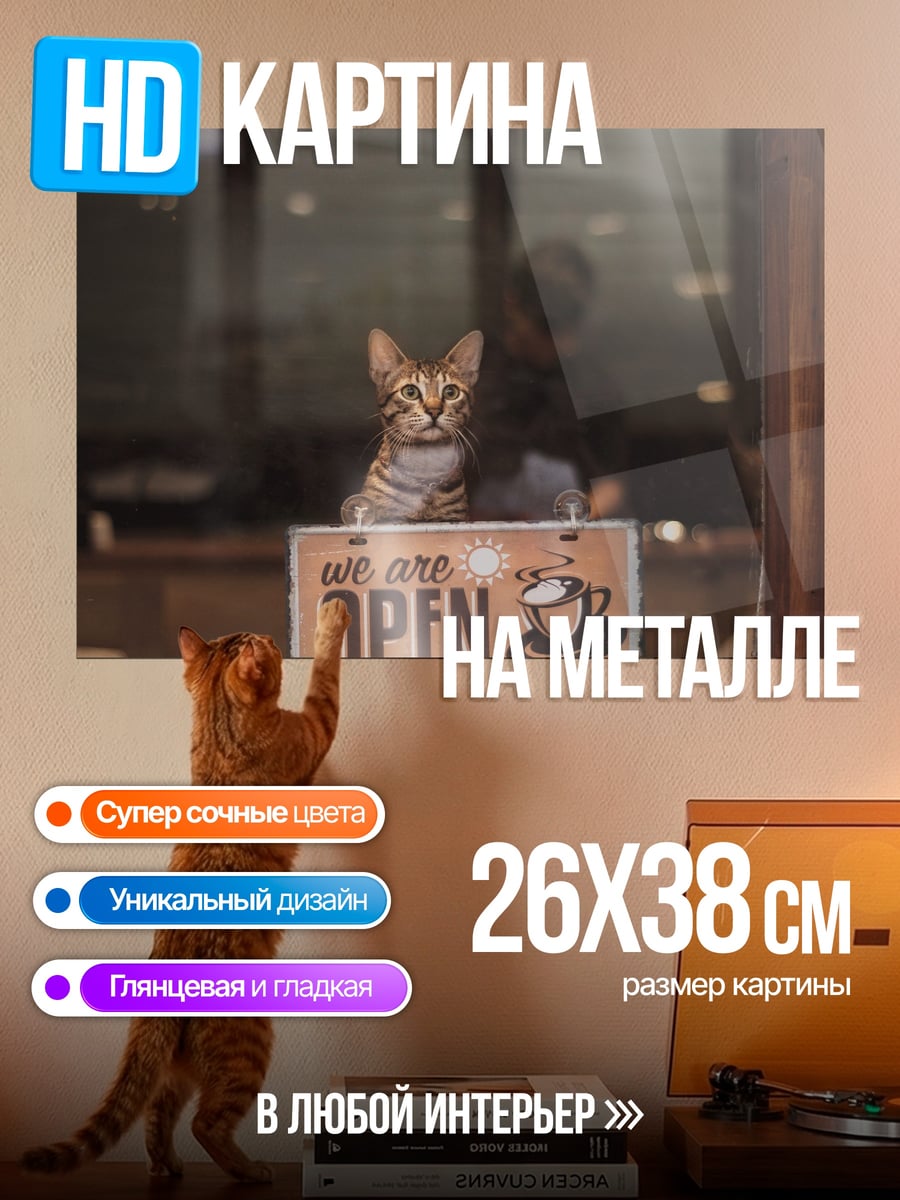 Картина на металле Кот в кафе