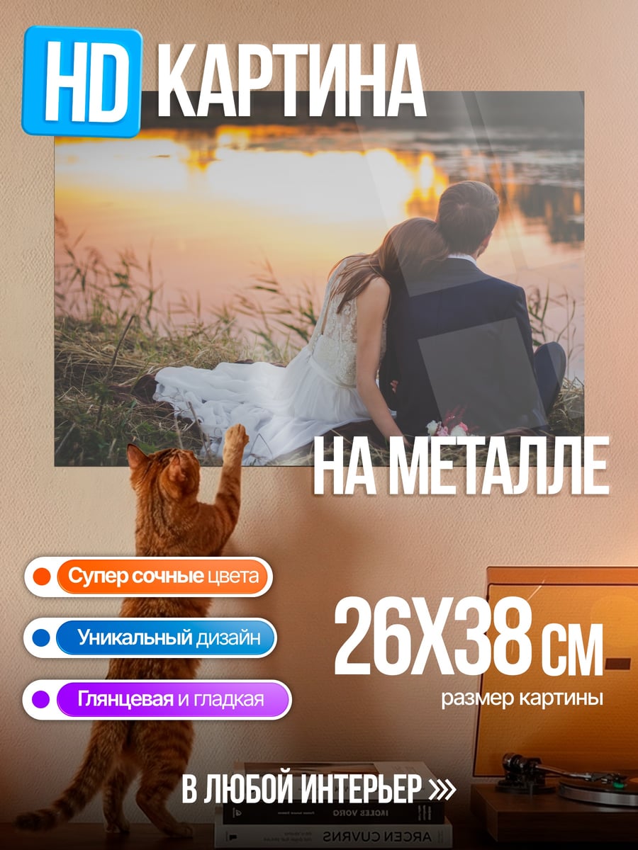 Картина на металле Пара на закате