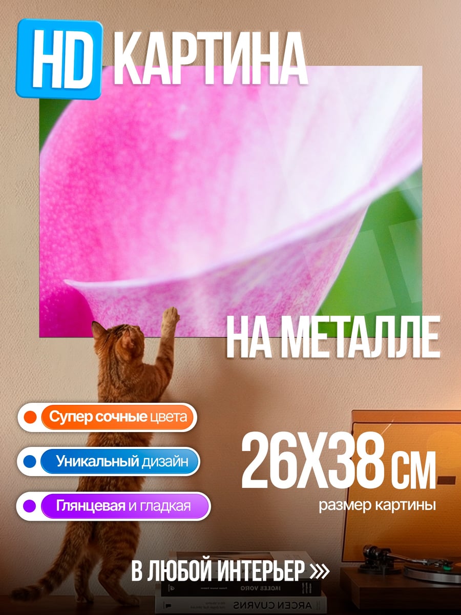 Картина на металле Розовый калл