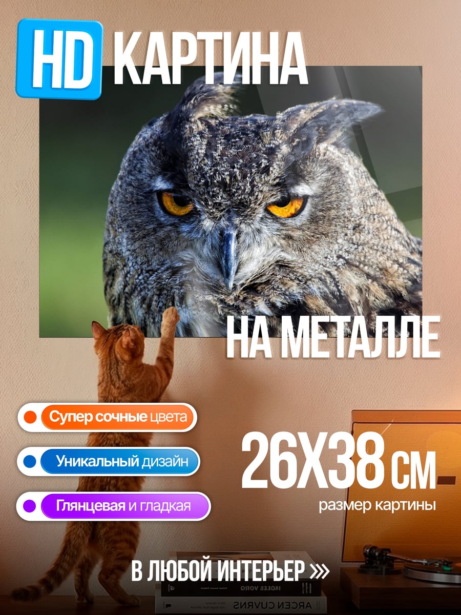 Картина на металле Филин смотрит