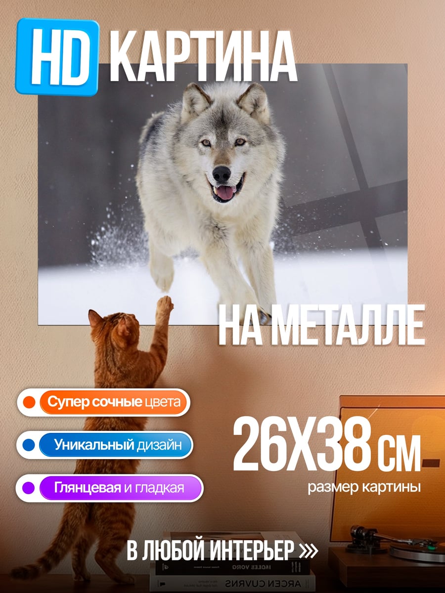 Картина на металле Бегущий волк