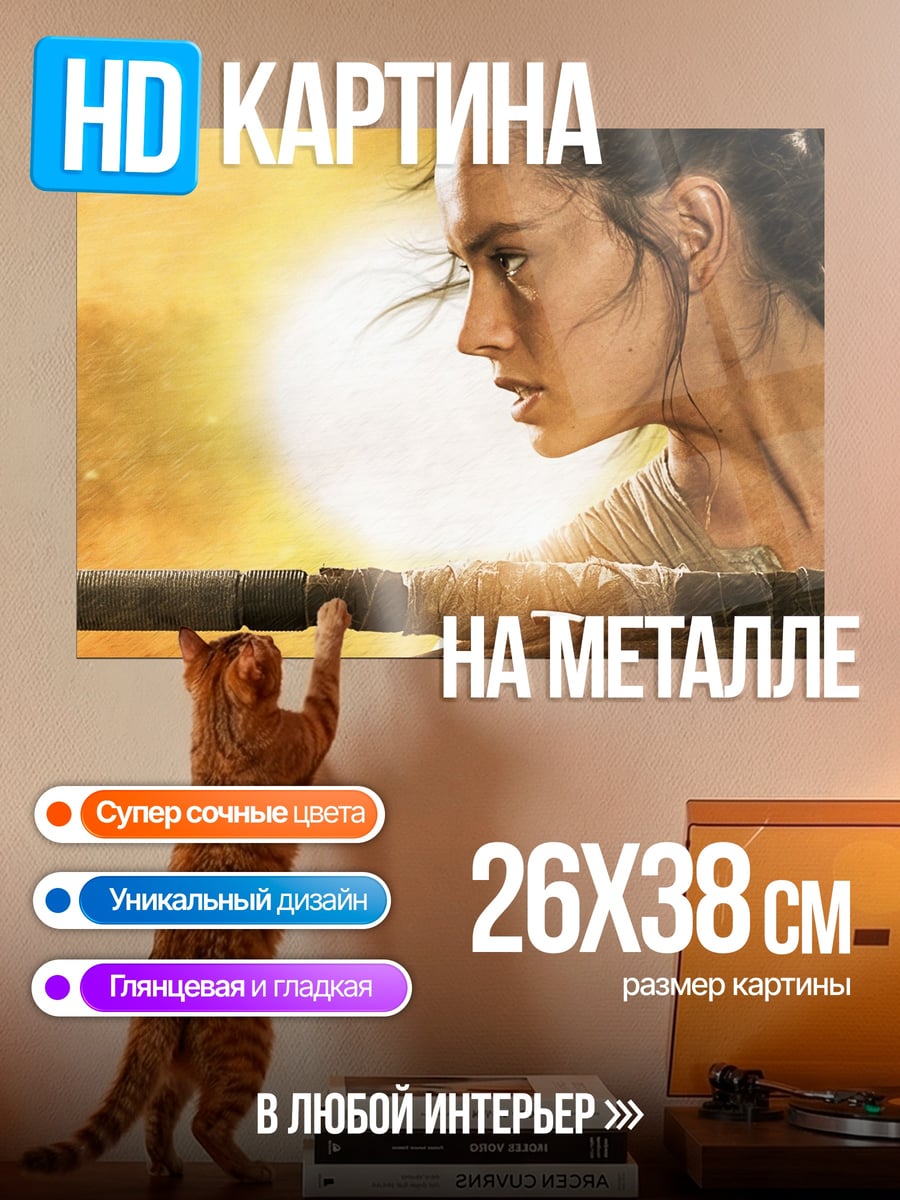 Картина на металле Рей Звездные Войны