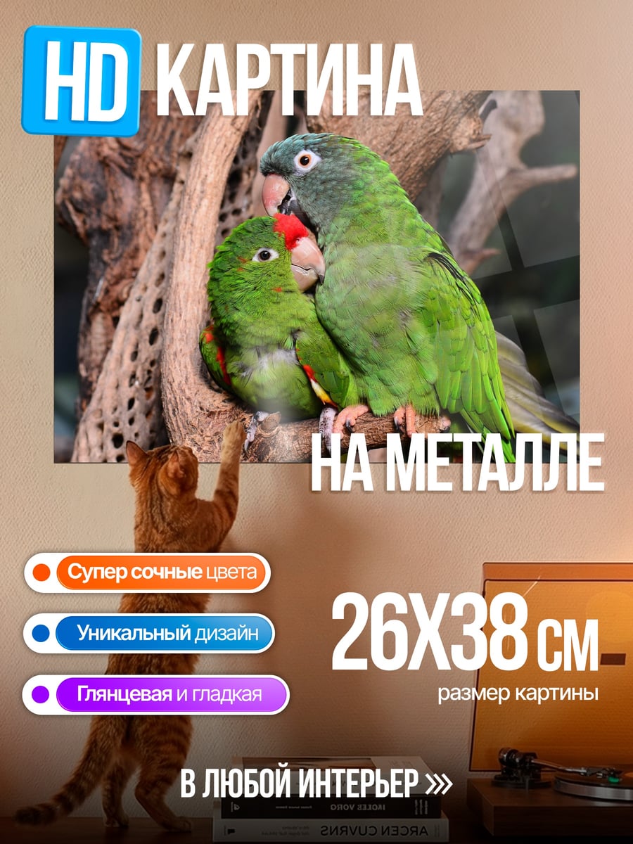 Картина на металле Пара попугаев