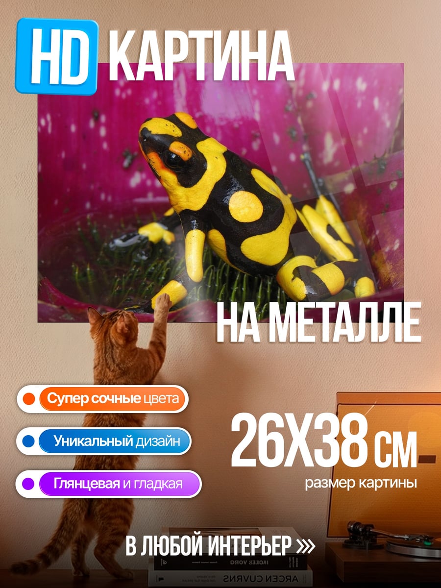 Картина на металле Яркая лягушка древолаз