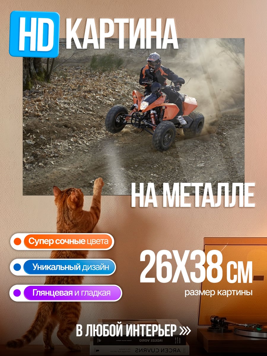 Картина на металле Квадроцикл в лесу
