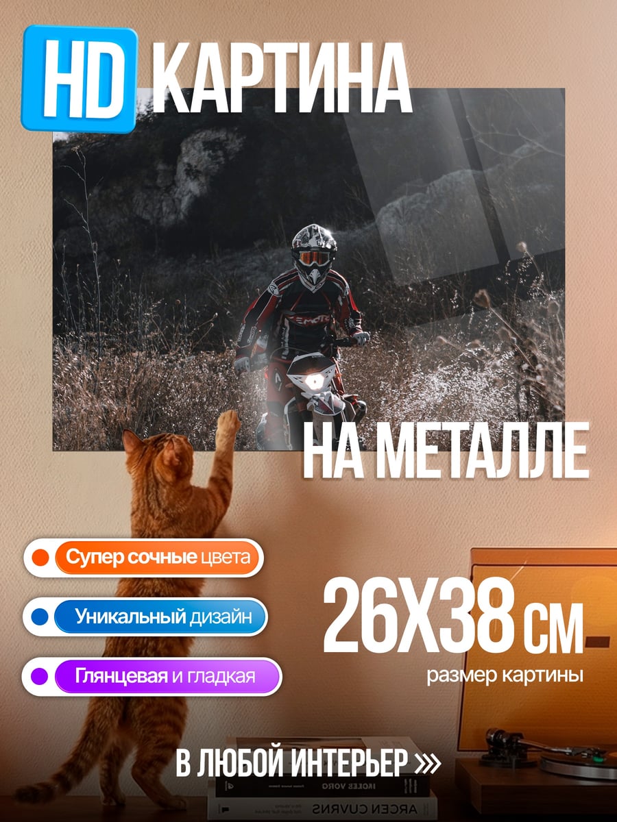 Картина на металле мотоциклист в лесу