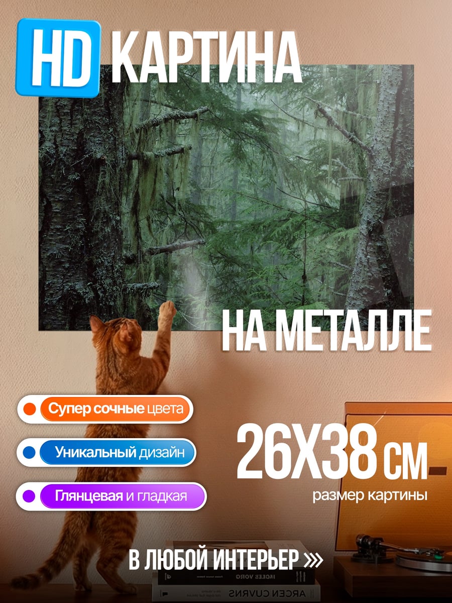 Картина на металле Туманный лес