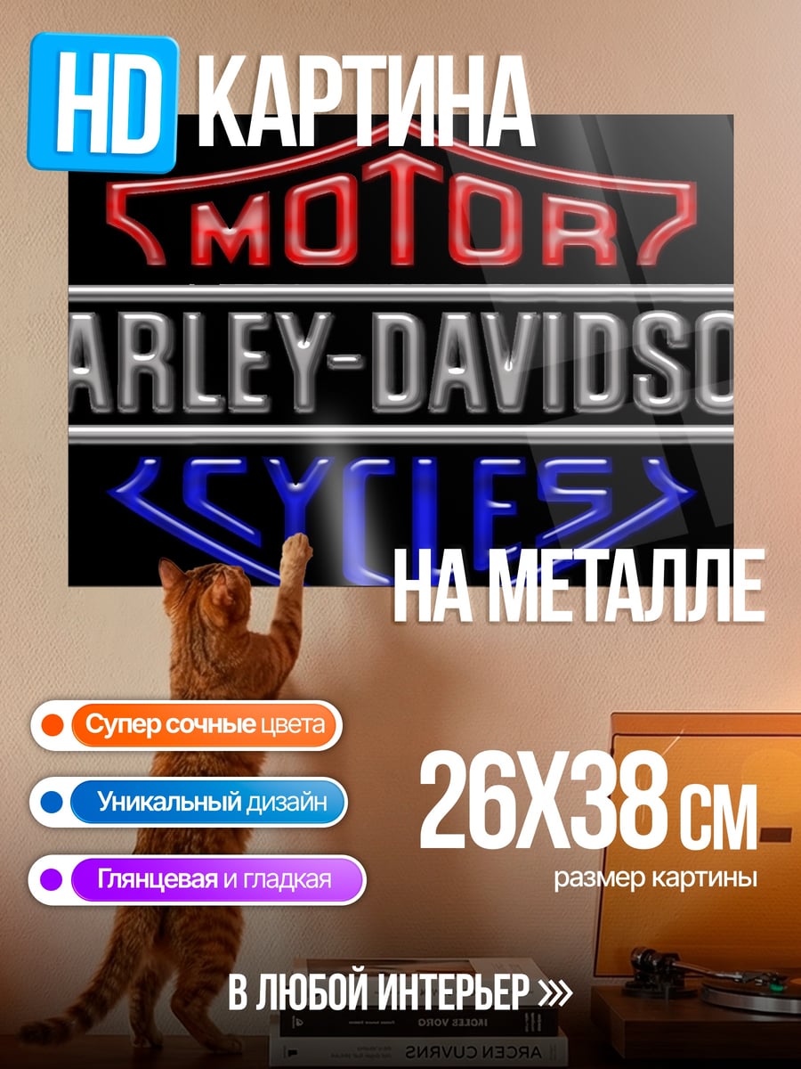 Картина на металле Логотип Harley-Davidson
