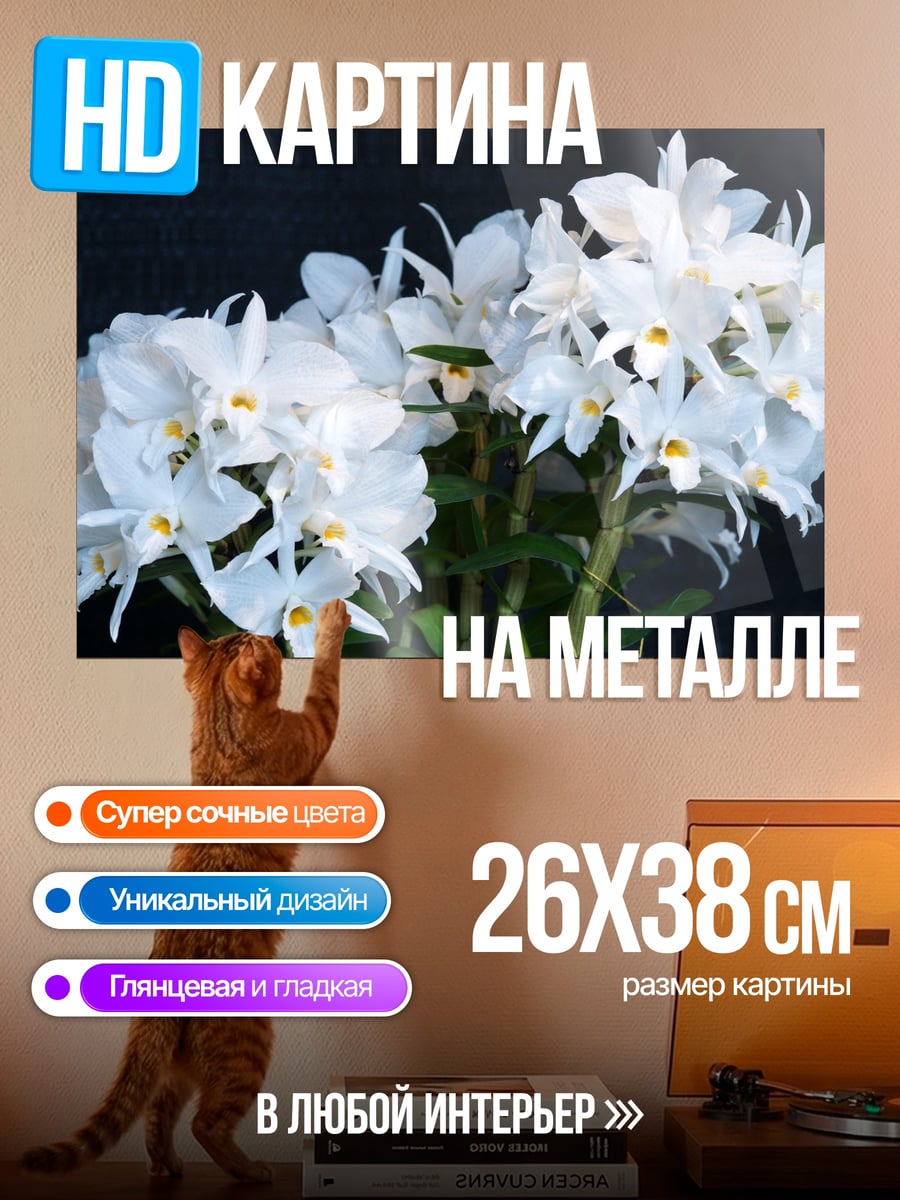 Картина на металле Белые орхидеи