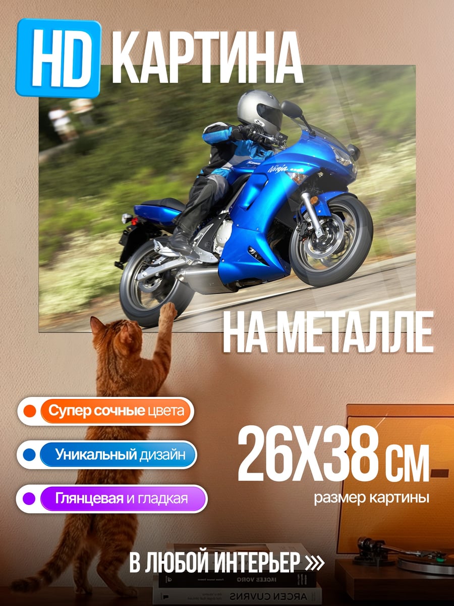 Картина на металле Синий мотоцикл гонщик