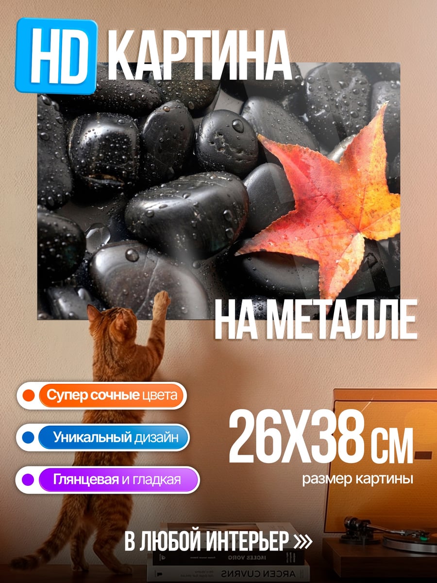 Картина на металле Осенний лист на камнях