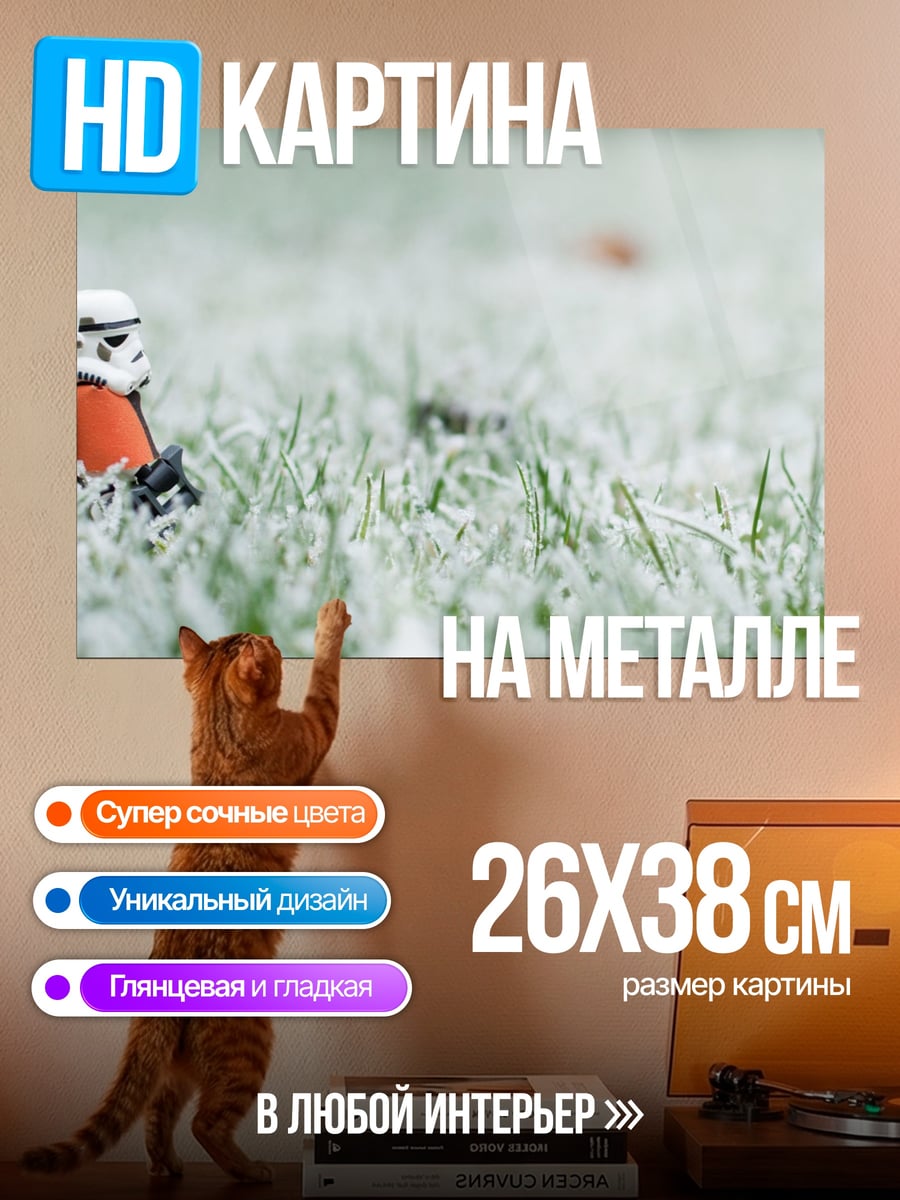 Картина на металле штурмовик в траве