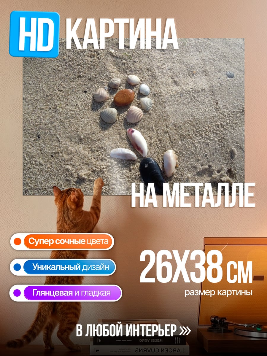 Картина на металле ракушки на песке