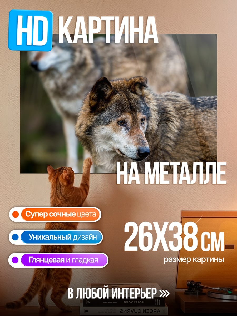 Картина на металле Два волка